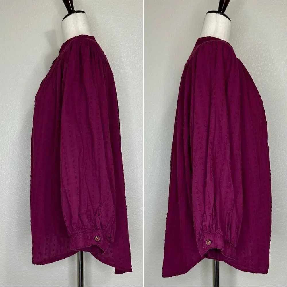 Anthropologie Pilcro Tavi Boho Embroidered Button Down Top